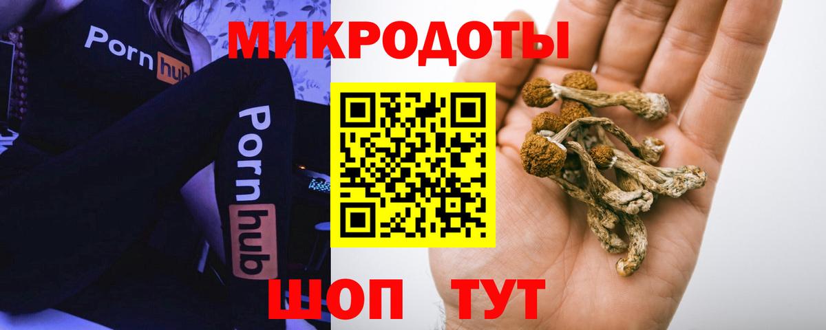 где продают наркотики  Псилоцибиновые грибы GOLDEN TEACHER  Алексин  Вход с VPN  Псилоцибиновые грибы мицелий 