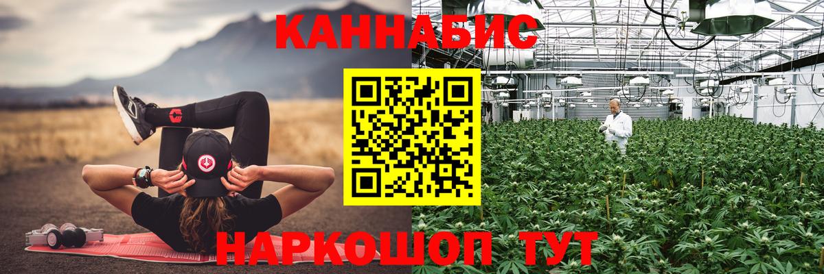 Алексин  Марихуана индика  Вход с VPN  Бошки Шишки White Widow  Канабис сатива  Конопля White Widow 